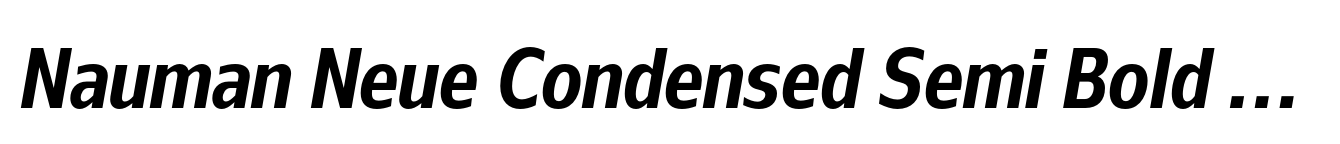 Nauman Neue Condensed Semi Bold Italic image